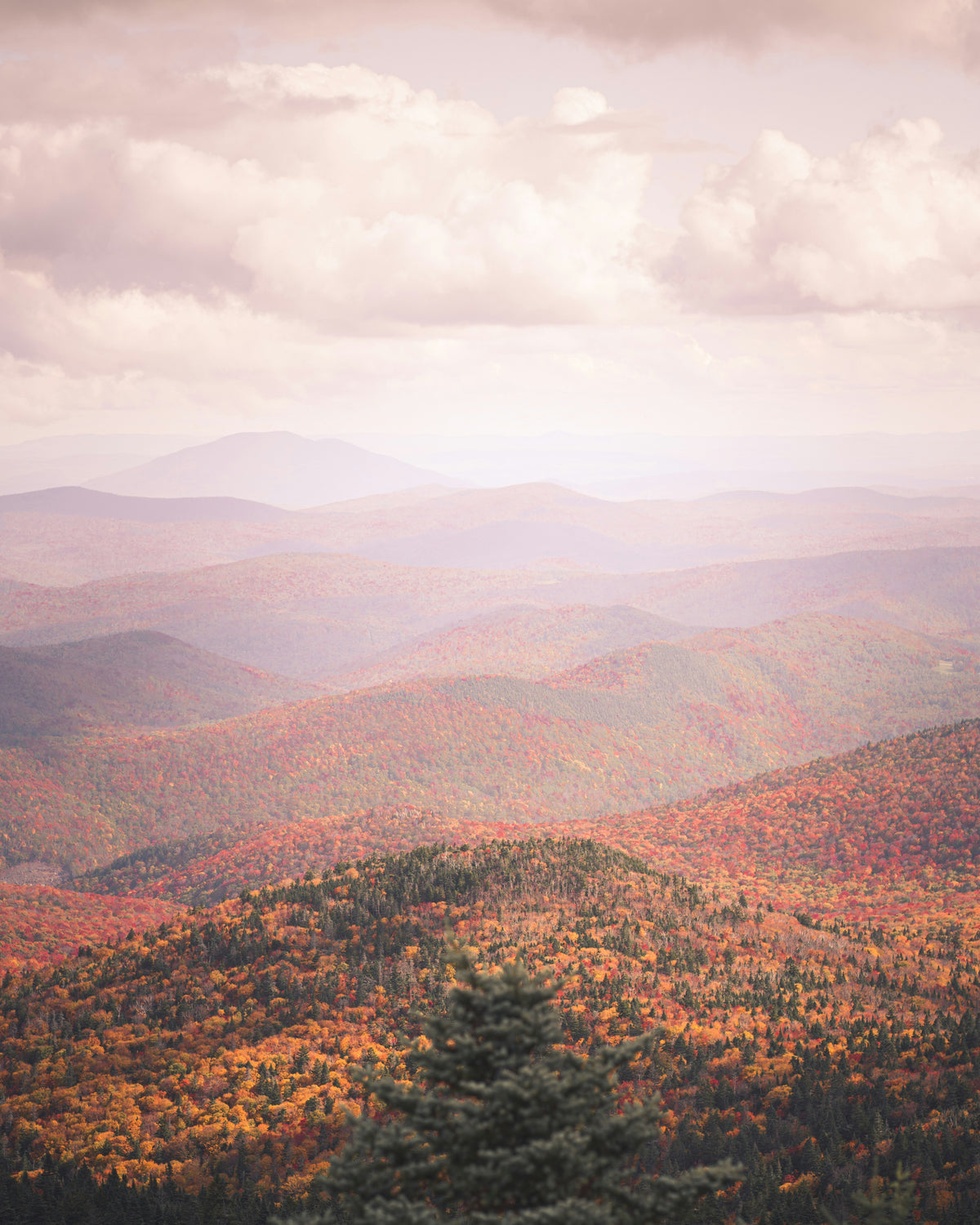 Vermont